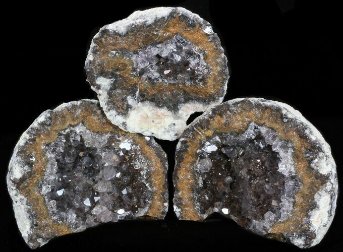 Las Choyas Geode With Clear Quartz #38529